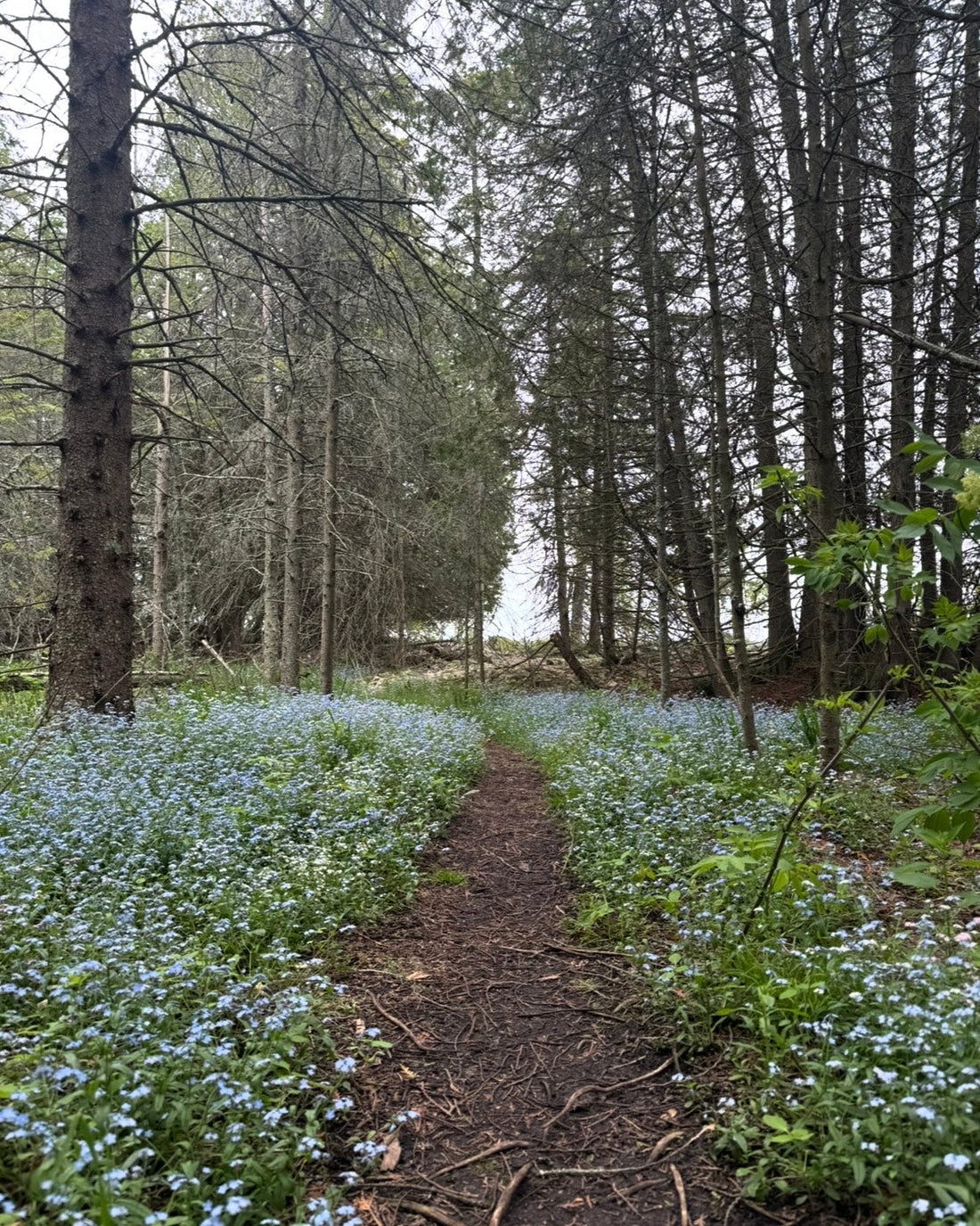 Local Inspiration: Toft Point