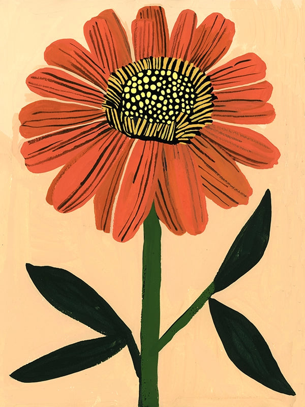Art Print | Gerbera Daisy