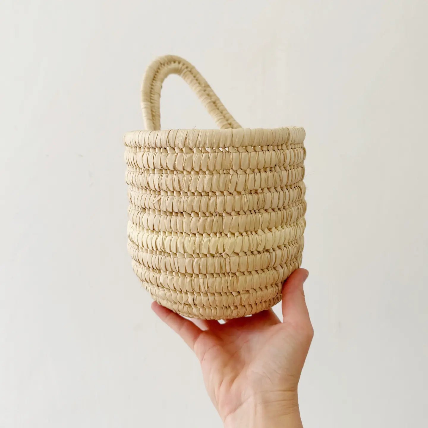 Palm Hanging Basket