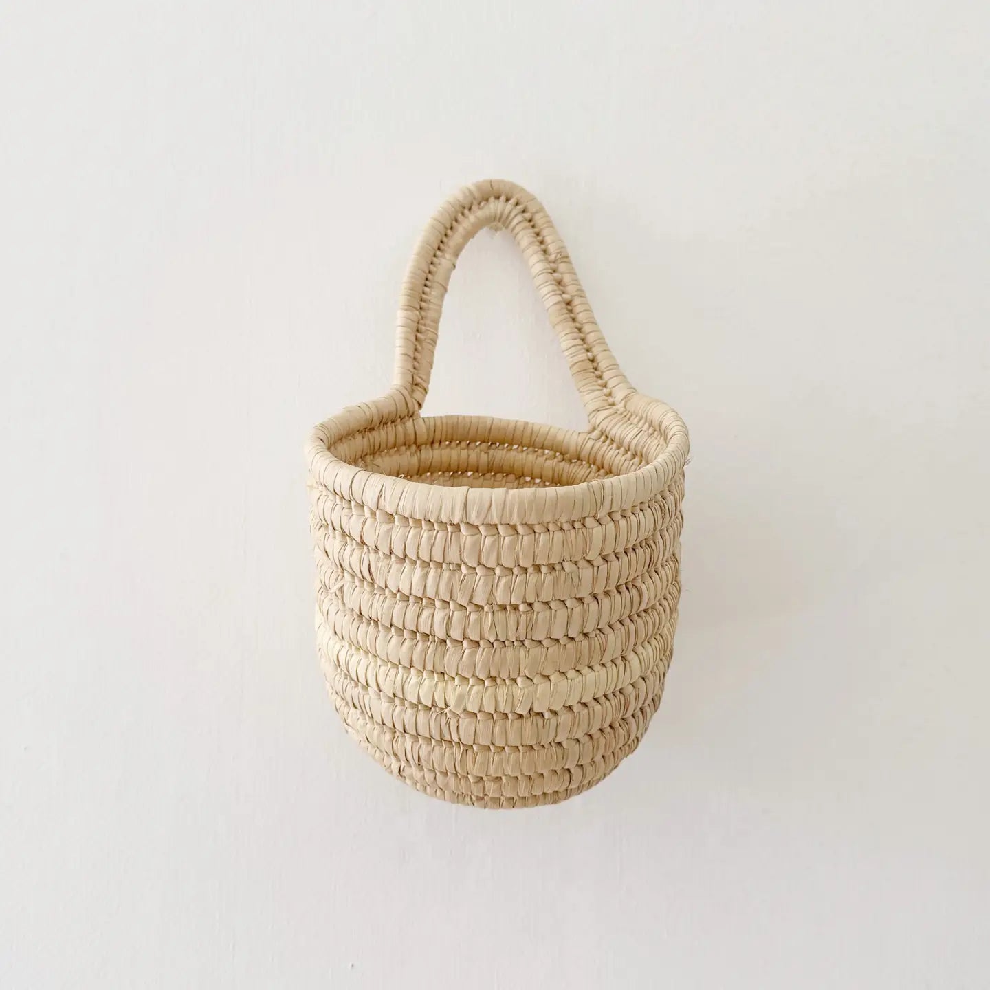 Palm Hanging Basket