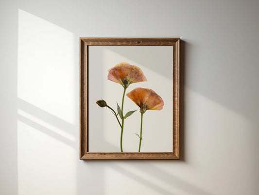 Pressed Flower Art Print - Pink Roses