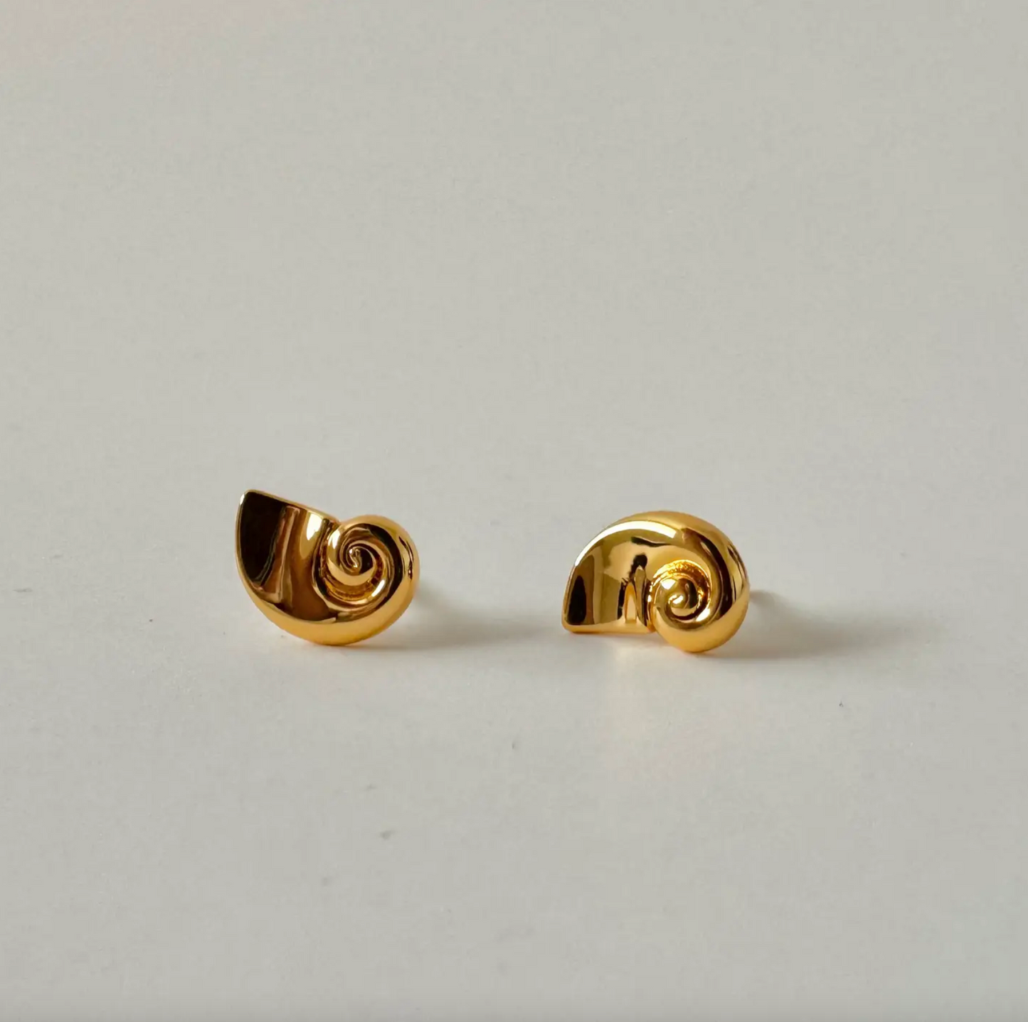 Nautilus Shell Earrings