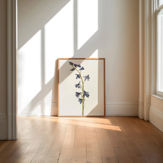 Pressed Flower Art Print - Blue Delphinium